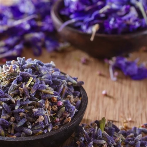 Hoa oải hương khô nguyên liệu Đông Y Tấn Phát