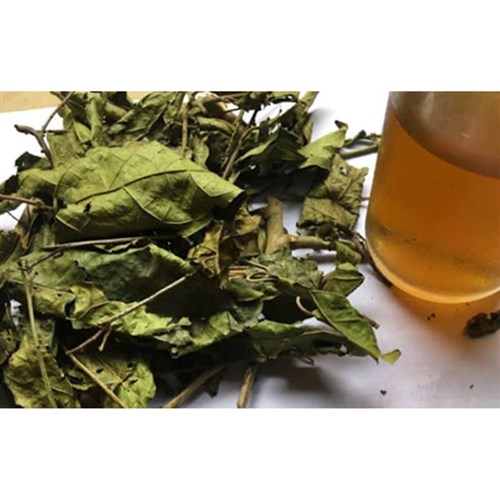 Trải nghiệm chọn mua lá xạ đen khô