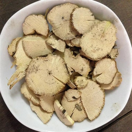 Mộc thông thảo khô Đông Y Tấn Phát Biên Hòa Đồng Nai