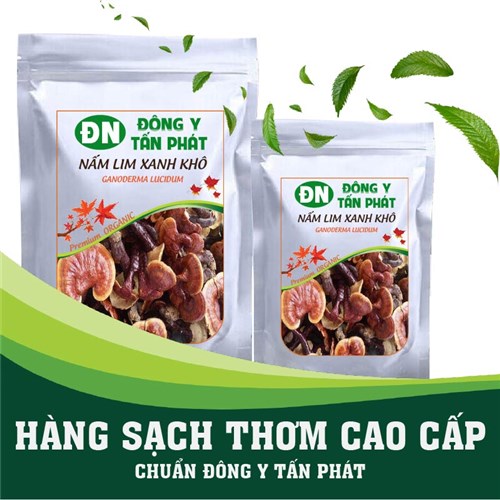 Giá nấm lim xanh tại Đông Y Tấn Phát