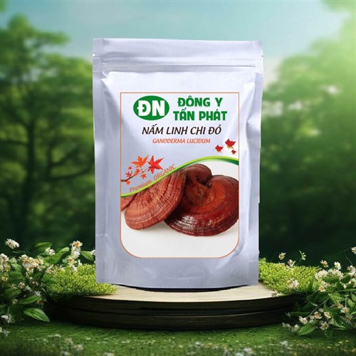 Nấm linh chi đỏ khô Đông Y Tấn Phát Biên Hòa Đồng Nai