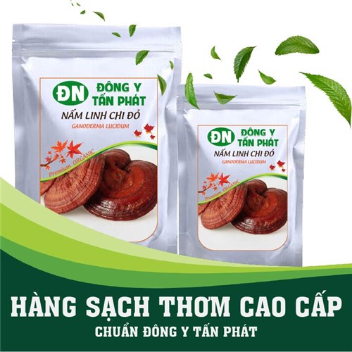 Giá nấm linh chi đỏ tại Đông Y Tấn Phát