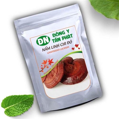 Trải nghiệm chọn mua nấm linh chi đỏ