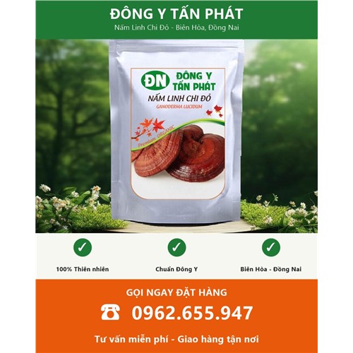 Đặt mua nấm linh chi đỏ tại Biên Hòa Đồng Nai