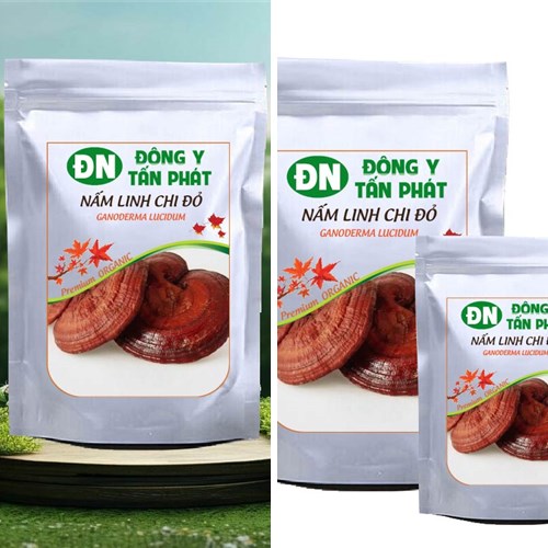 Nấm linh chi đỏ khô tại Đông Y Tấn Phát Biên Hòa