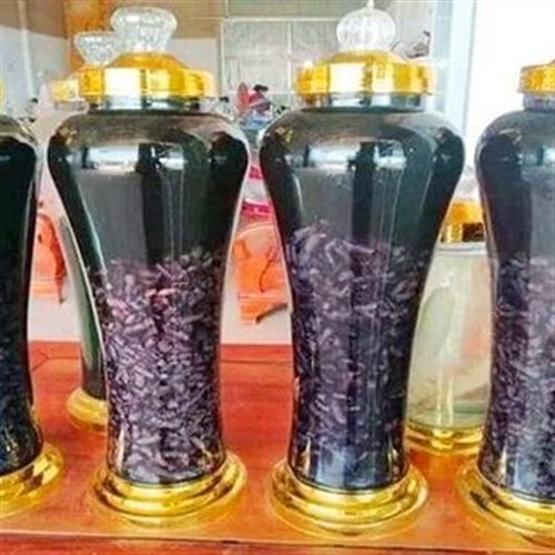 Rượu Ba Kích Tím Tươi Đông Y Tấn Phát đóng chai 1 lít và bình lớn