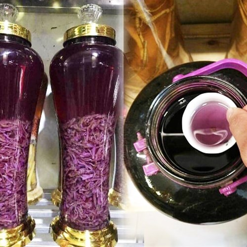 Rễ ba kích tím tươi dùng ngâm rượu, thịt rễ màu tím đặc trưng