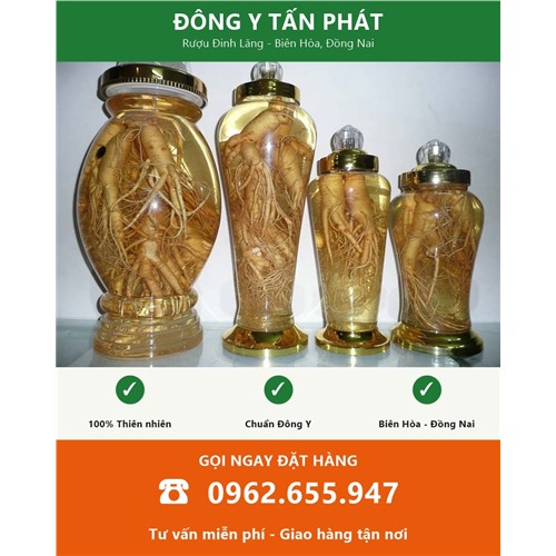 Đặt mua rượu đinh lăng tại Biên Hòa Đồng Nai