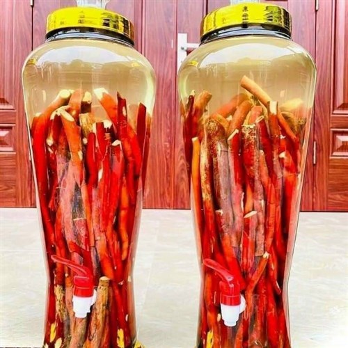 Củ sâm cau đỏ tươi dùng ngâm rượu