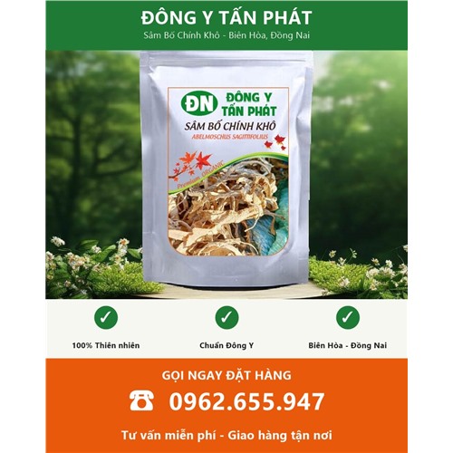 Đặt mua sâm bố chính khô tại Biên Hòa Đồng Nai