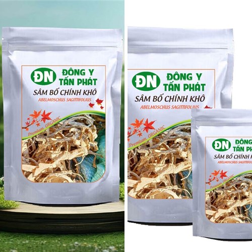 Sâm bố chính khô tại Đông Y Tấn Phát Biên Hòa