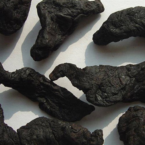 Sinh địa hoàng khô nguyên liệu Đông Y Tấn Phát