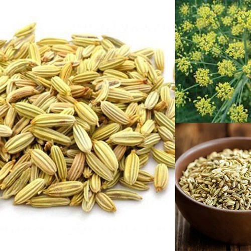 Trải nghiệm chọn mua tiểu hồi khô