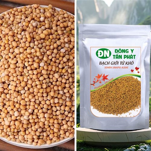 Nhận biết bạch giới tử khô chất lượng tại Biên Hòa Đồng Nai