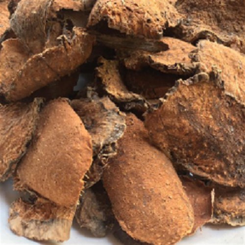 Lát mướp gai khô tại Biên Hòa Đồng Nai