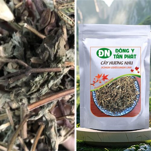 Nhận biết cây hương nhu khô chất lượng tại Biên Hòa Đồng Nai