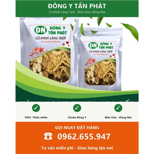 Đặt mua củ đinh lăng tươi tại Biên Hòa Đồng Nai