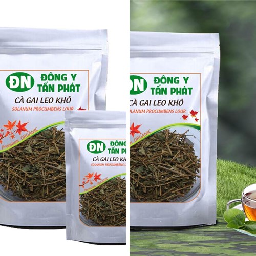 Cà gai leo khô đóng gói tại Biên Hòa Đồng Nai