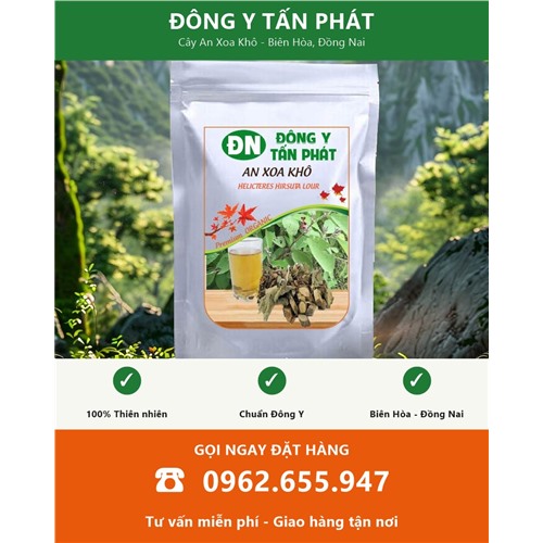 Đặt mua cây an xoa khô giao hàng toàn quốc từ Biên Hòa Đồng Nai
