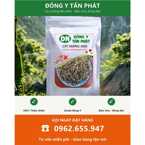 Đặt mua cây hương nhu khô giao hàng toàn quốc từ Biên Hòa Đồng Nai