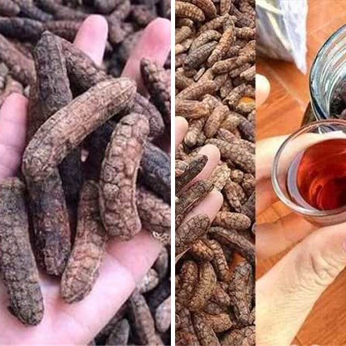 Chuối hột rừng khô và rượu ngâm tại Biên Hòa Đồng Nai
