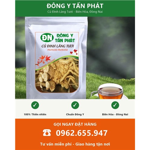 Đặt mua củ đinh lăng tươi giao hàng toàn quốc từ Biên Hòa Đồng Nai