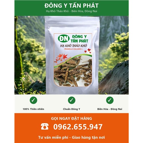 Đặt mua hạ khô thảo khô giao hàng toàn quốc từ Biên Hòa Đồng Nai