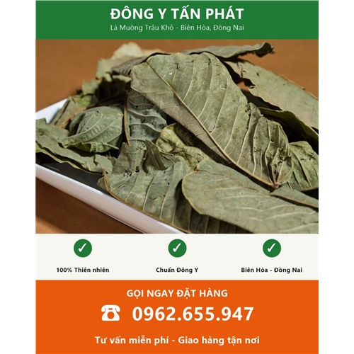 Đặt mua lá muồng trâu khô giao hàng toàn quốc từ Biên Hòa Đồng Nai