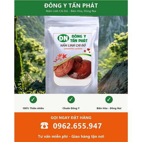 Đặt mua nấm linh chi đỏ giao hàng toàn quốc từ Biên Hòa Đồng Nai