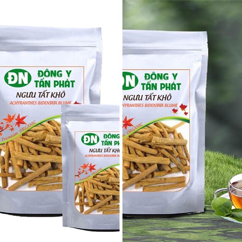 Ngưu tất khô đóng gói tại Biên Hòa Đồng Nai