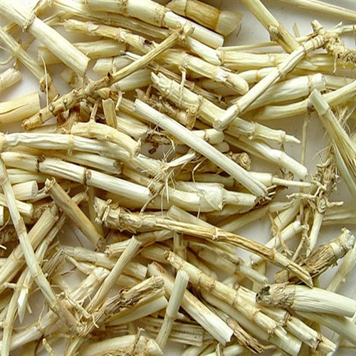Mua rễ cỏ tranh khô tại Đông Y Tấn Phát Biên Hòa