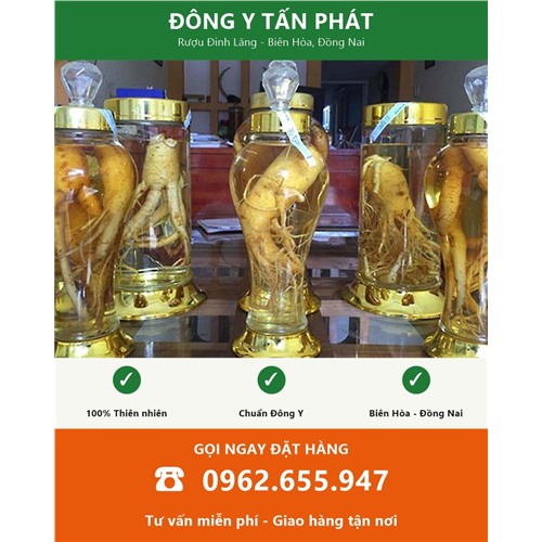Đặt mua rượu đinh lăng giao hàng từ Biên Hòa Đồng Nai