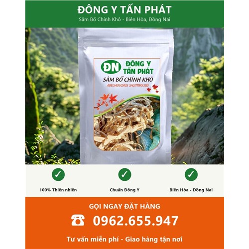 Đặt mua sâm bố chính khô giao hàng toàn quốc từ Biên Hòa Đồng Nai
