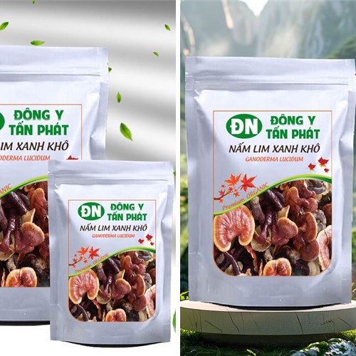 Nhận biết nấm lim xanh chất lượng tại Biên Hòa Đồng Nai
