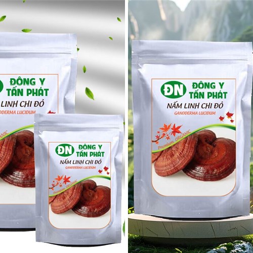 Nhận biết nấm linh chi đỏ chất lượng tại Biên Hòa Đồng Nai