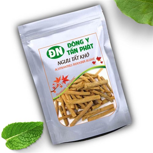 Ngưu tất khô chất lượng Đông Y Tấn Phát Biên Hòa