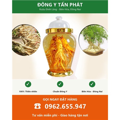 Đặt mua rượu đinh lăng tại Biên Hòa Đồng Nai