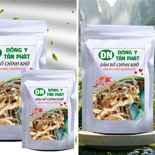 Nhận biết sâm bố chính khô chất lượng tại Biên Hòa Đồng Nai