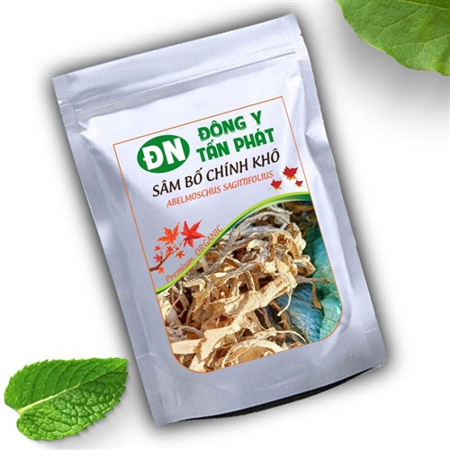 Sâm bố chính khô chất lượng Đông Y Tấn Phát Biên Hòa