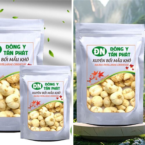 Nhận biết xuyên bối mẫu khô chất lượng tại Biên Hòa Đồng Nai