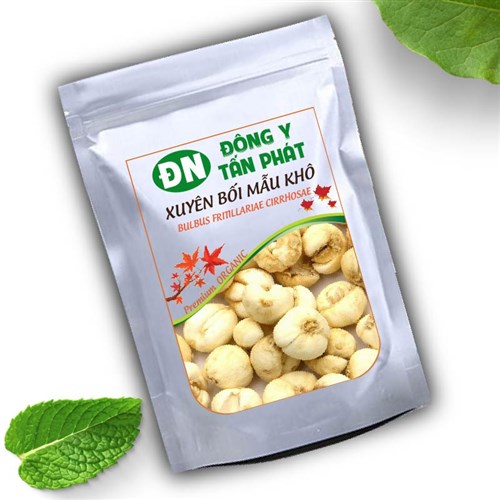 Xuyên bối mẫu khô chất lượng Đông Y Tấn Phát Biên Hòa